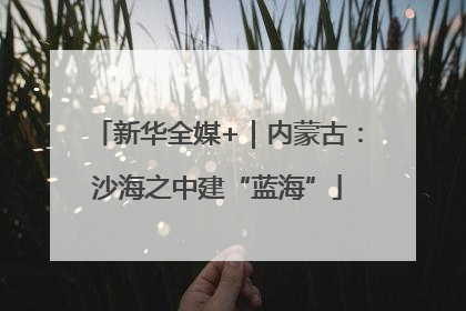 新华全媒+｜内蒙古：沙海之中建“蓝海”