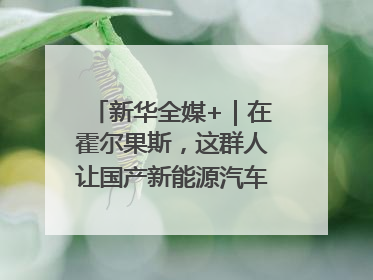 新华全媒+｜在霍尔果斯，这群人让国产新能源汽车“跑”向中亚