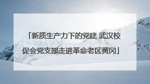 新质生产力下的党建 武汉校促会党支部走进革命老区黄冈