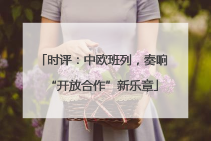 时评：中欧班列，奏响“开放合作”新乐章