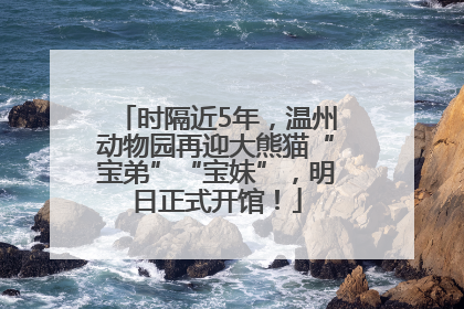 时隔近5年，温州动物园再迎大熊猫“宝弟”“宝妹”，明日正式开馆！