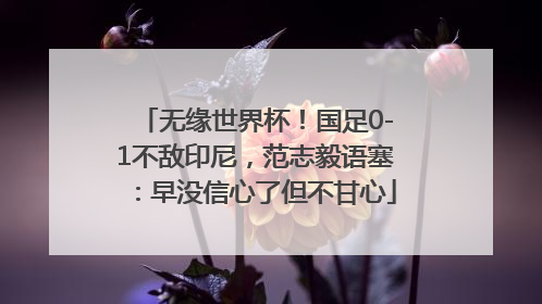 无缘世界杯！国足0-1不敌印尼，范志毅语塞：早没信心了但不甘心
