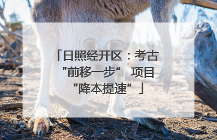 日照经开区：考古“前移一步” 项目“降本提速”