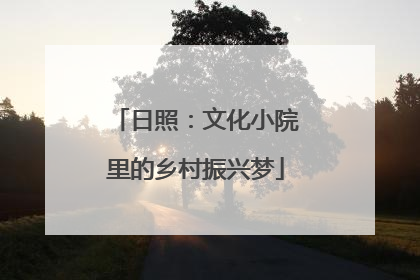 日照：文化小院里的乡村振兴梦