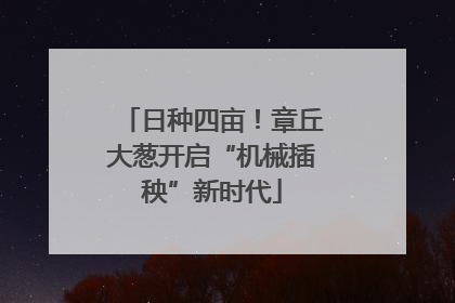 日种四亩！章丘大葱开启“机械插秧”新时代