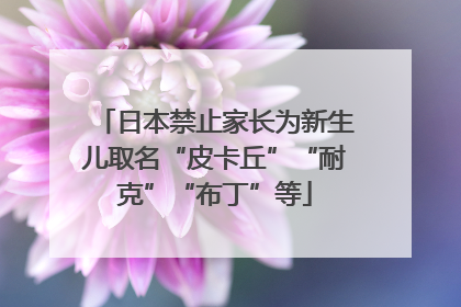 日本禁止家长为新生儿取名“皮卡丘”“耐克”“布丁”等
