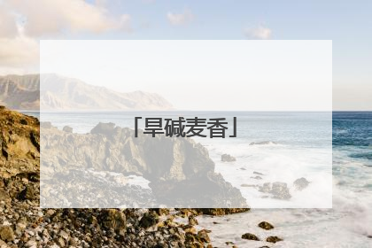旱碱麦香