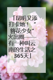 昆明又添打卡地！“簪花少女”火出圈——有一种叫云南的生活之365天