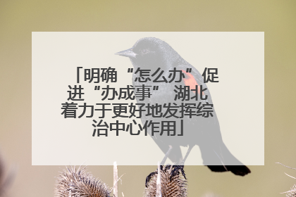 明确“怎么办”促进“办成事” 湖北着力于更好地发挥综治中心作用