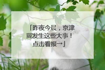 昨夜今晨，京津冀发生这些大事！点击看报→