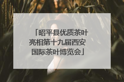 昭平县优质茶叶亮相第十九届西安国际茶叶博览会