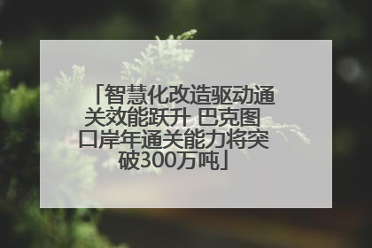 智慧化改造驱动通关效能跃升 巴克图口岸年通关能力将突破300万吨