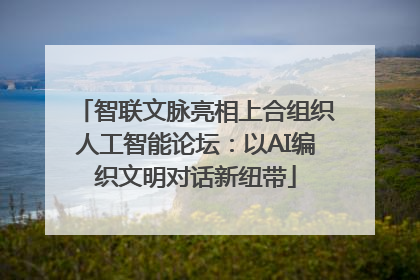 智联文脉亮相上合组织人工智能论坛：以AI编织文明对话新纽带