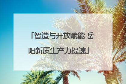 智造与开放赋能 岳阳新质生产力提速