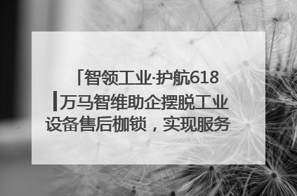 智领工业·护航618┃万马智维助企摆脱工业设备售后枷锁，实现服务与效能价值共振！