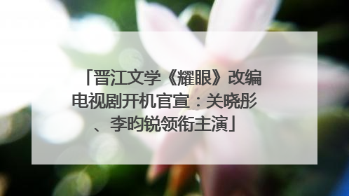 晋江文学《耀眼》改编电视剧开机官宣：关晓彤、李昀锐领衔主演