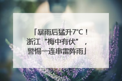 暴雨后猛升7℃！浙江“梅中有伏”，警惕一连串雷阵雨