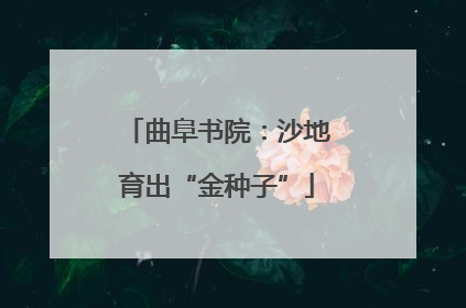 曲阜书院：沙地育出“金种子”