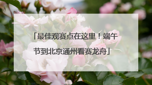 最佳观赛点在这里！端午节到北京通州看赛龙舟