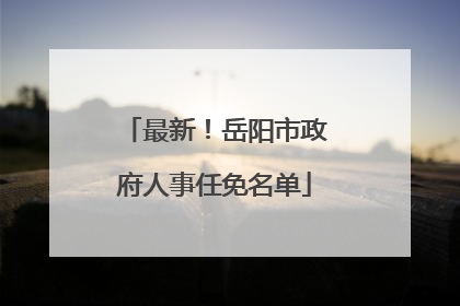 最新！岳阳市政府人事任免名单