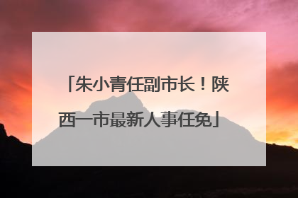 朱小青任副市长！陕西一市最新人事任免