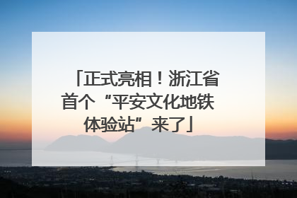 正式亮相！浙江省首个“平安文化地铁体验站”来了