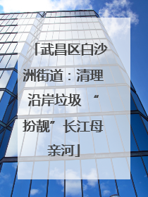 武昌区白沙洲街道：清理沿岸垃圾 “扮靓”长江母亲河