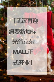 武汉再迎消费新地标 光谷京东MALL正式开业