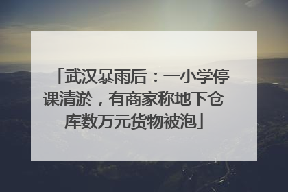 武汉暴雨后：一小学停课清淤，有商家称地下仓库数万元货物被泡