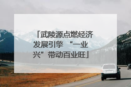 武陵源点燃经济发展引擎 “一业兴”带动百业旺