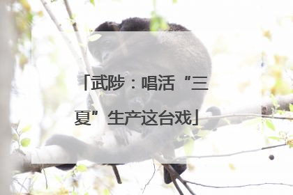 武陟：唱活“三夏”生产这台戏
