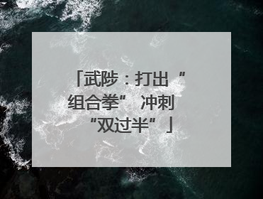 武陟：打出“组合拳” 冲刺“双过半”