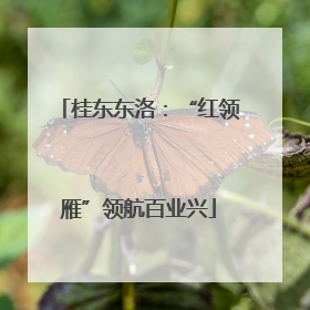 桂东东洛：“红领雁”领航百业兴