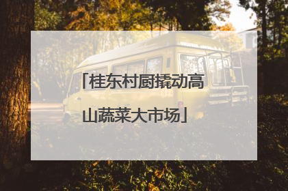桂东村厨撬动高山蔬菜大市场