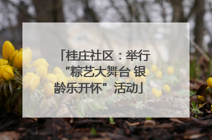 桂庄社区：举行“粽艺大舞台 银龄乐开怀”活动