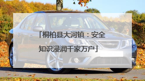 桐柏县大河镇：安全知识浸润千家万户