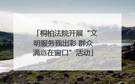 桐柏法院开展“文明服务我出彩 群众满意在窗口”活动