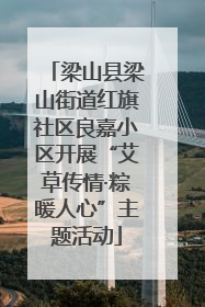 梁山县梁山街道红旗社区良嘉小区开展“艾草传情·粽暖人心”主题活动