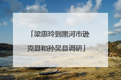 梁惠玲到黑河市逊克县和孙吴县调研