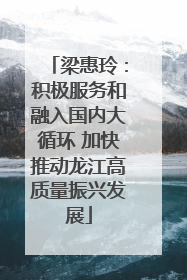 梁惠玲：积极服务和融入国内大循环 加快推动龙江高质量振兴发展