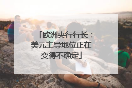 欧洲央行行长：美元主导地位正在变得不确定