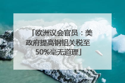 欧洲议会官员：美政府提高钢铝关税至50%毫无道理