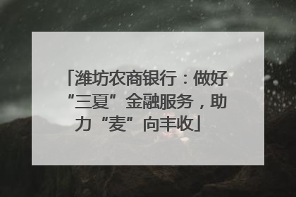潍坊农商银行：做好“三夏”金融服务，助力“麦”向丰收