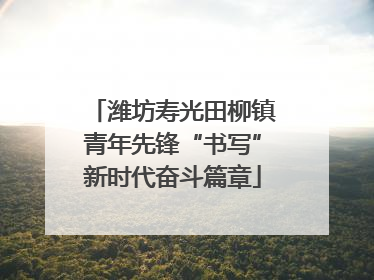 潍坊寿光田柳镇青年先锋“书写”新时代奋斗篇章