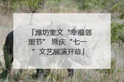 潍坊奎文“幸福邻里节” 暨庆“七一”文艺展演开幕