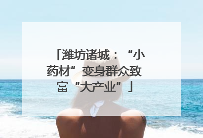 潍坊诸城：“小药材”变身群众致富“大产业”