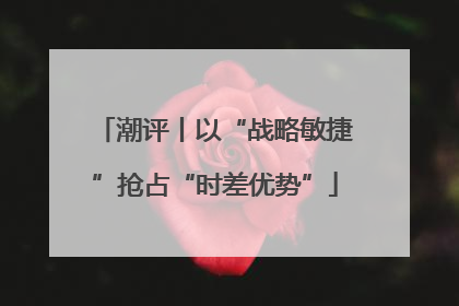 潮评丨以“战略敏捷”抢占“时差优势”