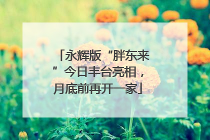 永辉版“胖东来”今日丰台亮相，月底前再开一家