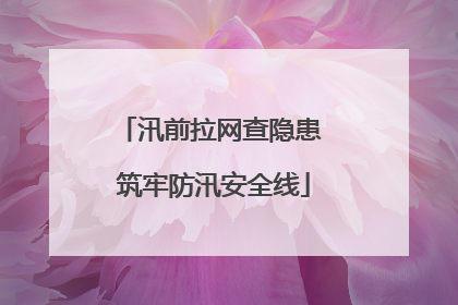 汛前拉网查隐患 筑牢防汛安全线
