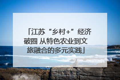 江苏“乡村+”经济破圈 从特色农业到文旅融合的多元实践